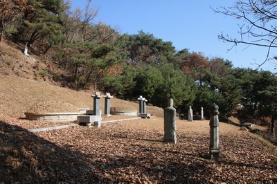 성 남종삼 요한과 가족 묘소 전경.
